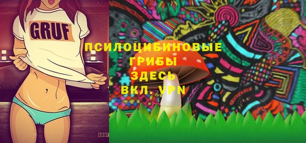 PSILOCYBIN Алексеевка