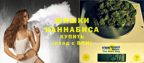PSILOCYBIN Алексеевка
