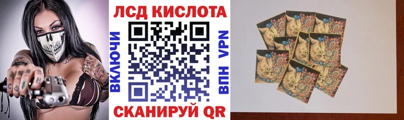 где купить наркоту  darknet официальный сайт  omg вход  Марки NBOMe 1500мкг  Вихоревка 